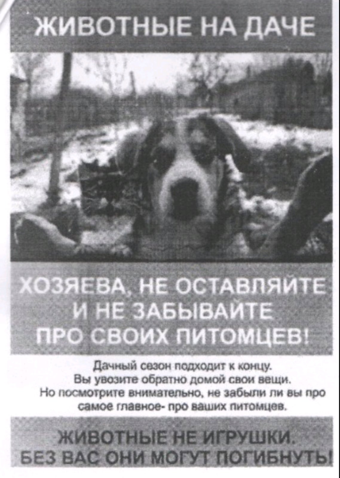 Картинка новости