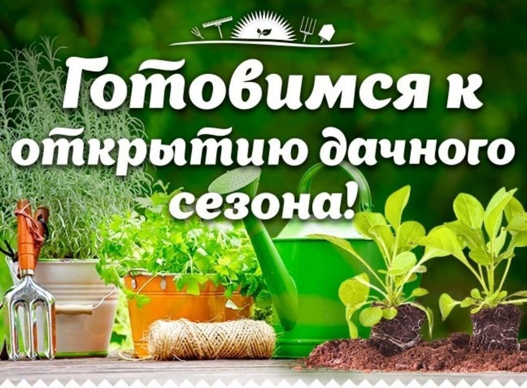 Картинка новости