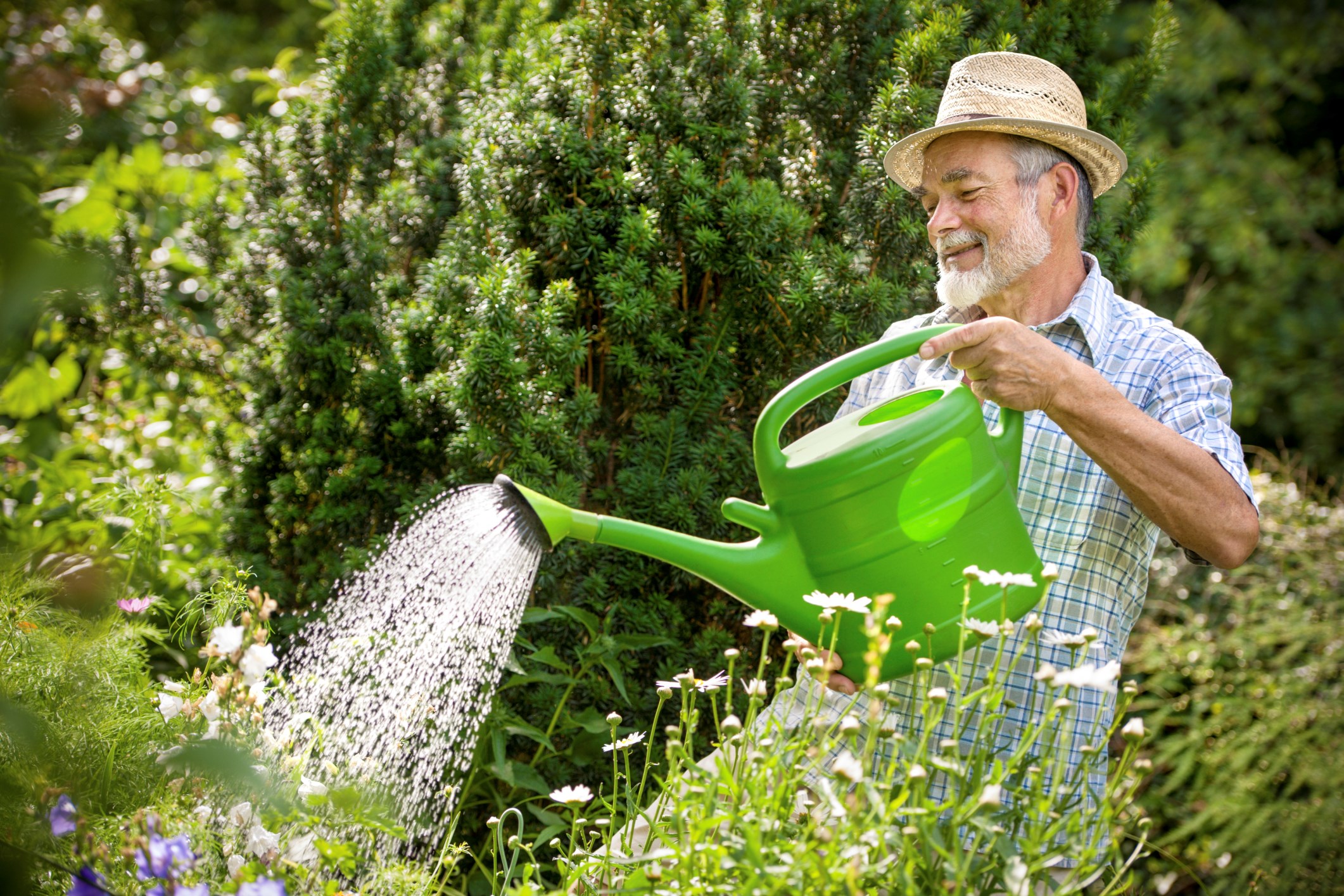 Картинка новости